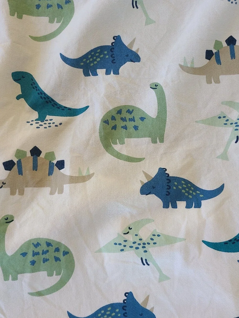 N/A dinosaur print